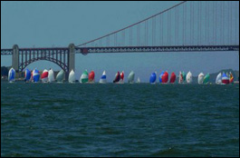 J-Fest 2008 Downwind Gaggle of J/105s